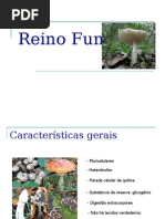 Reino Fungi