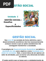 GESTAO_SOCIAL__CONCEITOS_2007_2
