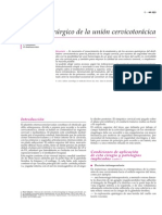 Acceso quirúrgico de la unión cervicotorácica.pdf