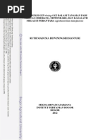 Download INTRODUKSI GEN Osdep1 KE DALAM TANAMAN PADI VARIETAS CIHERANG NIPPONBARE DAN KASALATH MELALUI PERANTARA Agrobacterium tumefaciens by Ruth Maduma Sianturi SN273570482 doc pdf