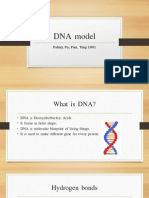 Dna Model