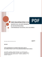 NEUROPROTECCION