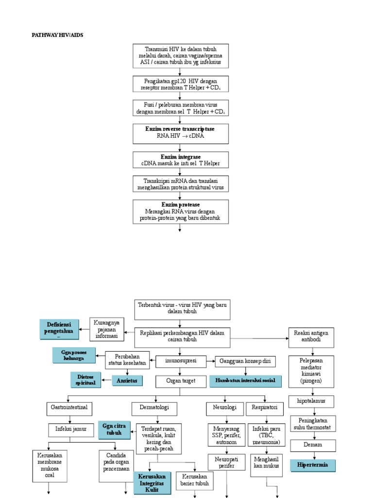 Pathway Hiv Aids | PDF