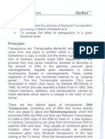 Bacterial Transposons Kit Protocol - Genei