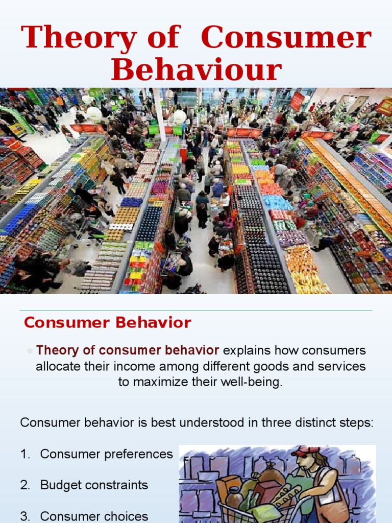 Theory of Consumer Behaviour | PDF | Utility | Consumers