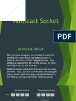 Multicast Socket