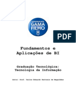 Fundamentos e Aplicações de BI