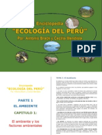 ING. Enciclopedia Geologia Del Peru