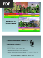 Evolução Das Plantas