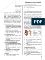 A) Evaluación #01 (Sinónimo, Analogías, Ortografía)