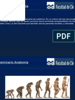 Anatomia de Columna