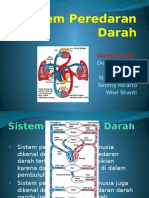 Peredaran Darah