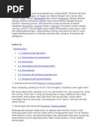 Download Jati Putih by KangIday SN273681582 doc pdf