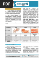 MATERIAL 20130615204459TeoriaMuscularNervoso