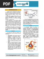 MATERIAL 20130818134641TeoriaSistemaNervoso