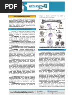 MATERIAL 20130810220308TeoriaSistemaImunologico