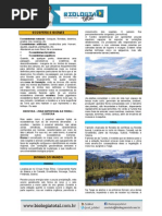 MATERIAL 20130906165106TeoriaBiomas