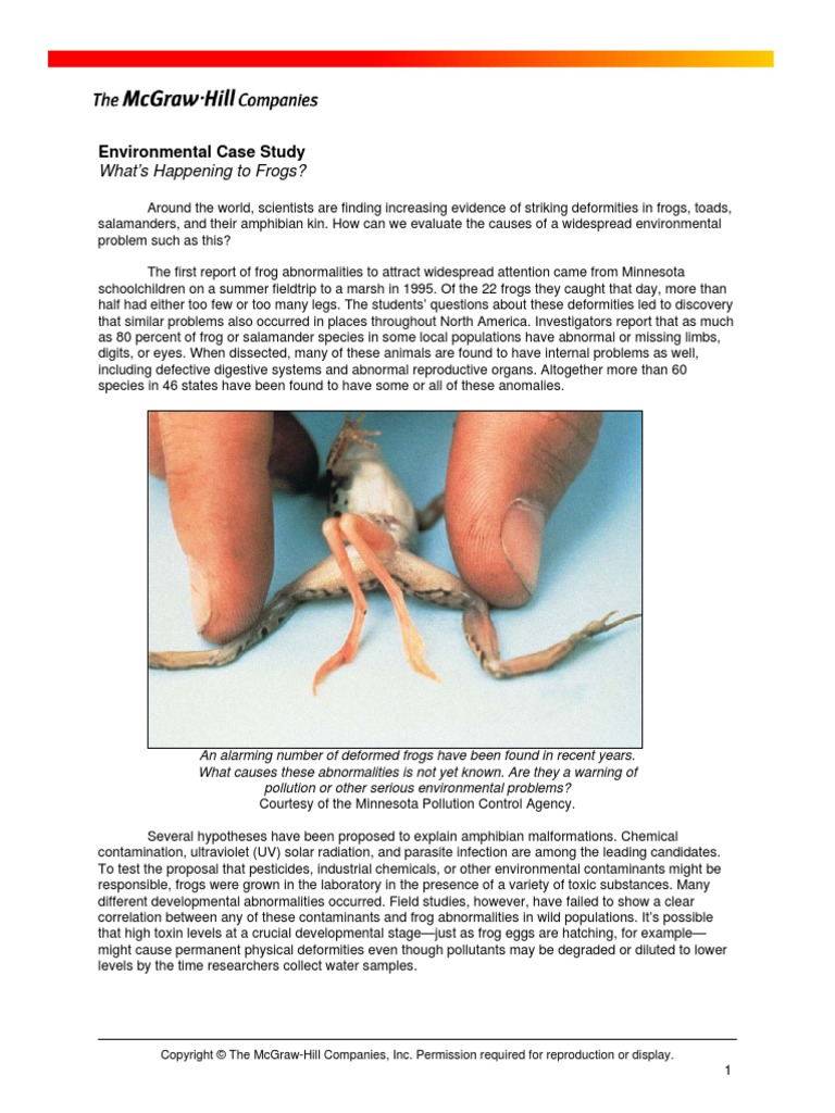 What's Happening To Frogs?: Environmental Case Study | PDF | Frog ...