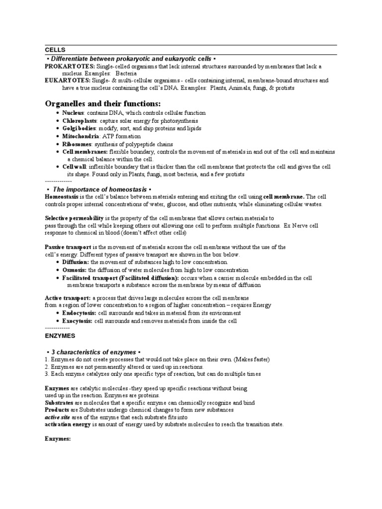 Worksheets Protists Worksheet workbooks protists worksheets free printable for pre condensed biology georgia eoct study guide cellular respiration worksheets