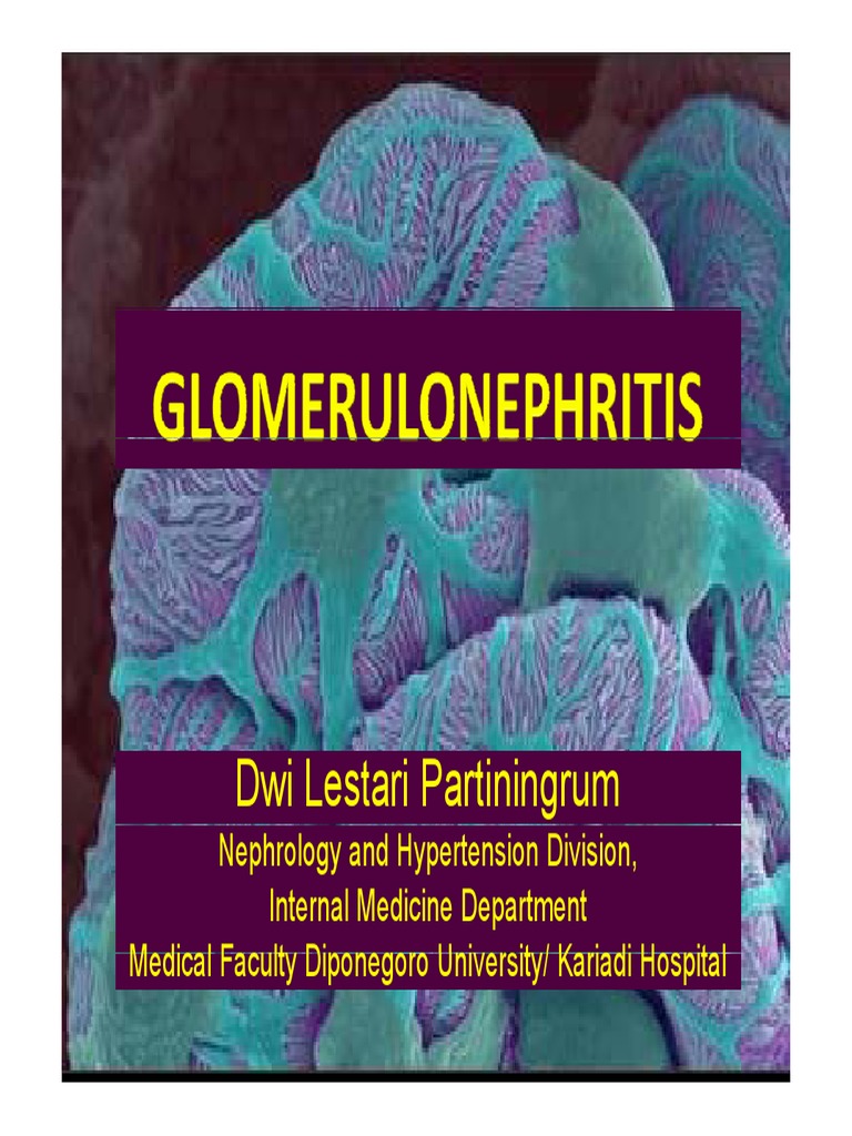 Understanding Glomerulonephritis Types | PDF | Kidney Disease | Kidney
