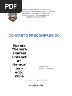 Trabajo 1 Puente Sobre El Lago