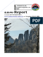 EBM-Report 3-15