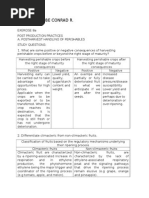 Download Exercise 8a by Kobe Conrad Abellera SN273767566 doc pdf