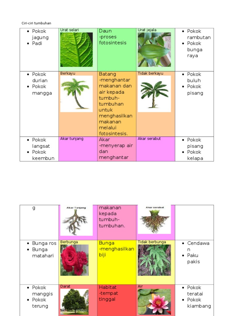 Ciri Tumbuhan Pdf