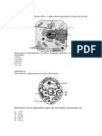 Questões sobre organelas celulares