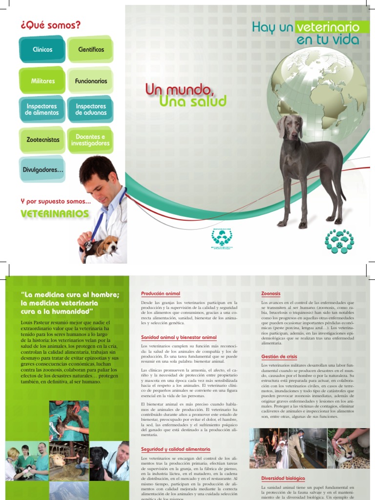 Triptico Dia Mundial Veterinario | PDF | Medicina Veterinaria ...