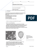 Leyes de Los Gases