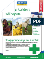 Kelato Emergency First Aid Kit A4 Flyer 