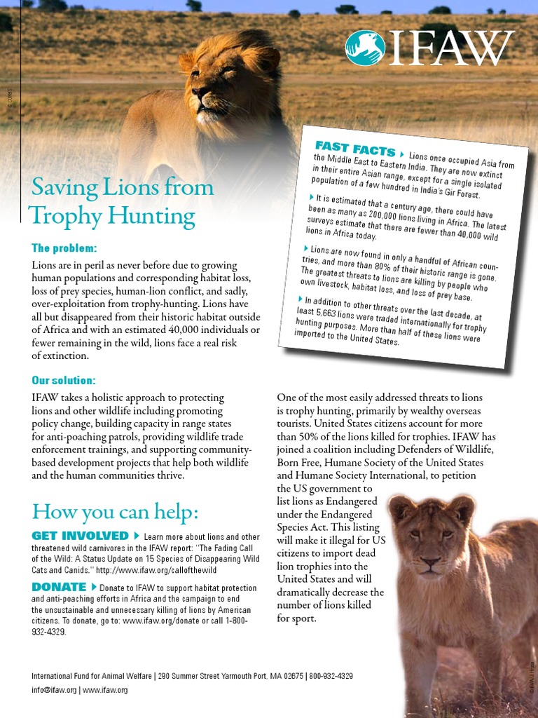 IFAW Lions Fact Sheet Lion Wildlife Free 30day Trial Scribd