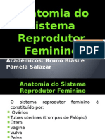 Aula Anatomia Sist Rep Feminino
