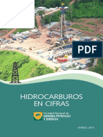 Hidrocarburos en Cifras 2014 PDF