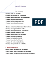 Daftar Nama Tulang Pada Manusia