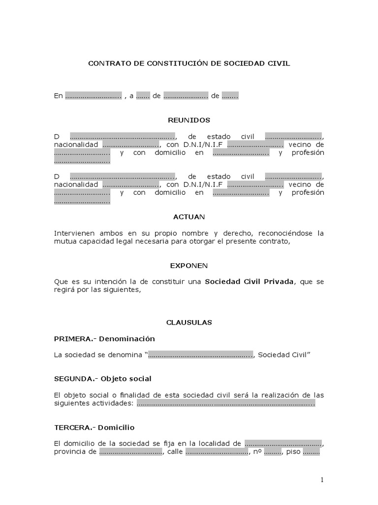 Top 86+ imagen modelo contrato sociedad civil