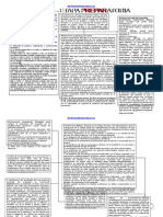 Esquema Del Proceso Penal Word