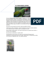 Cuento Guacamayo