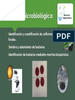 Análisis-microbiológico.pdf