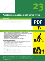 Accidentes Causados Por Seres Vivos