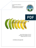 Respiración en Frutas y Hortalizas