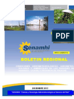 12 Boletin Regional Dic 2013 Huanuco