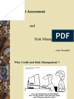 Credit and Risk Presentation for Srei