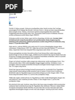 Download investasi by Andina Rahayu Budiman SN273875402 doc pdf
