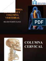 Radioanatomia de Craneo y Columna Vertebral