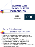 Anatomi Dan Fisiologi Syaraf Br