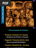 08-Ultrassonografia Em Obstetricia