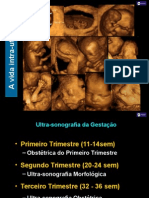 08-Ultrassonografia Em Obstetricia