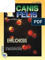 Ehrlichiosis